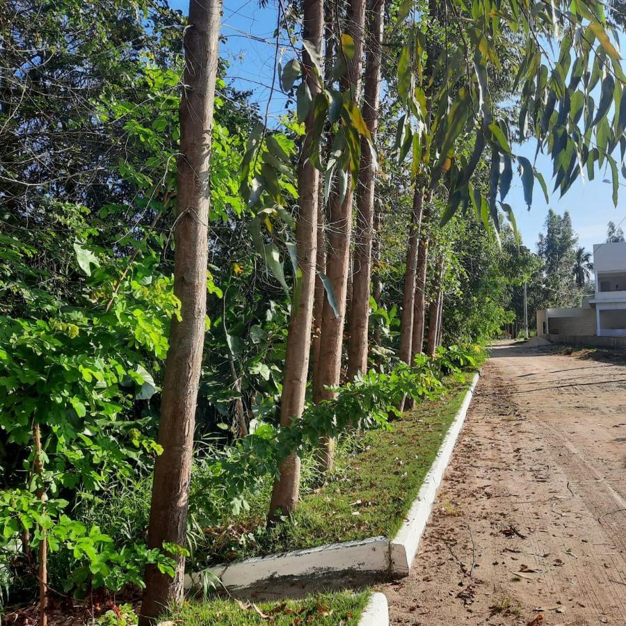 São José da Coroa Grande Viva! 1 Casa Nova Em Condominio Entre Maragogi E Carneiros מראה חיצוני תמונה